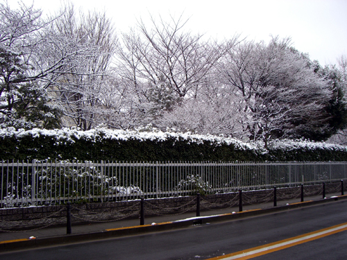 今朝の東京は雪景色