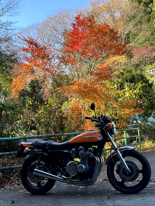 借景の紅葉 借景の紅葉