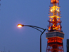 夕暮れの東京タワー