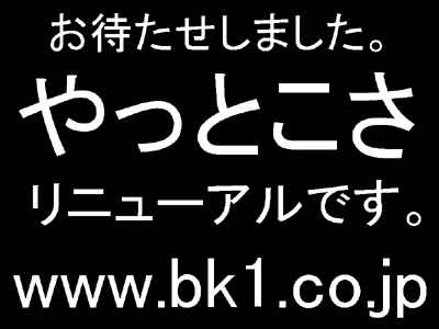 やっとこさ